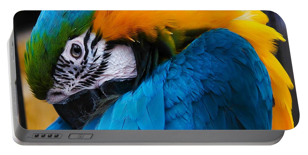 Macaw Portable Battery Charger featuring the photograph I always feel like somebody's watching me by Robert L Jackson