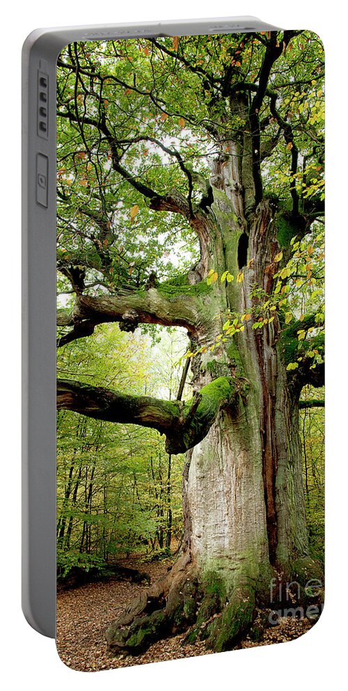 Oak Portable Battery Charger featuring the photograph I am nearly 1000 years old by Heiko Koehrer-Wagner