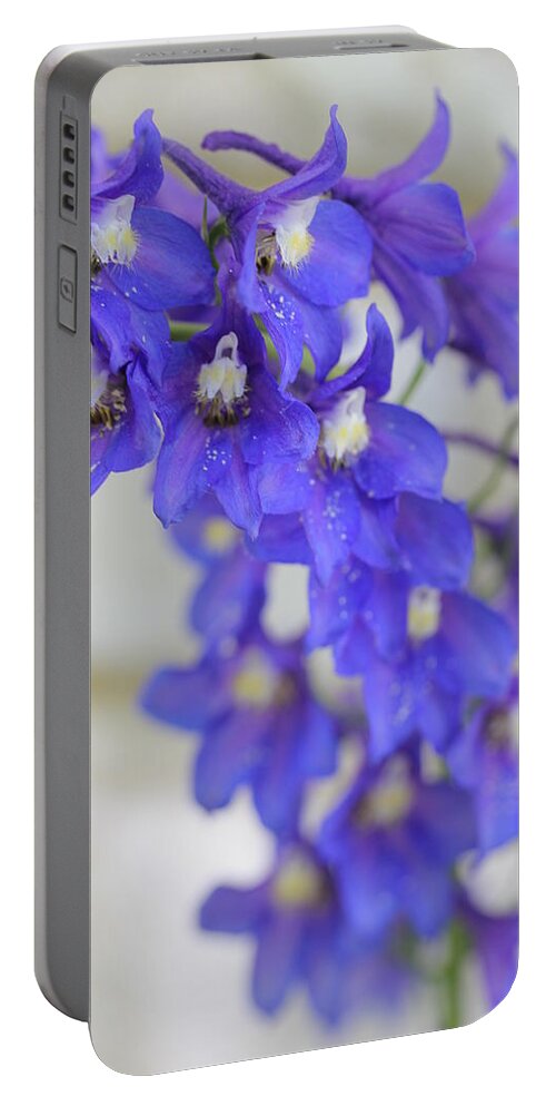 Delphinium Portable Battery Charger featuring the photograph I Got the Blues by Ruth Kamenev
