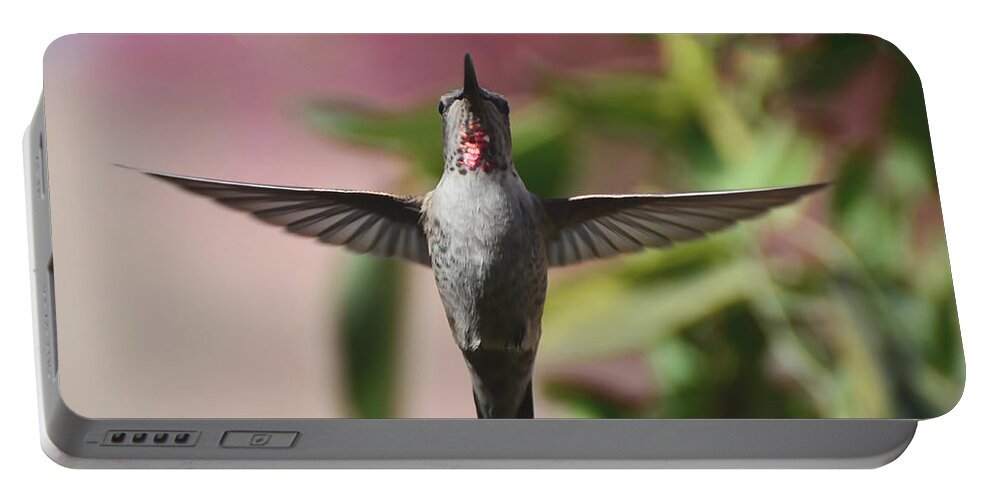Hummingbird Portable Battery Charger featuring the photograph I Love You by Debby Pueschel