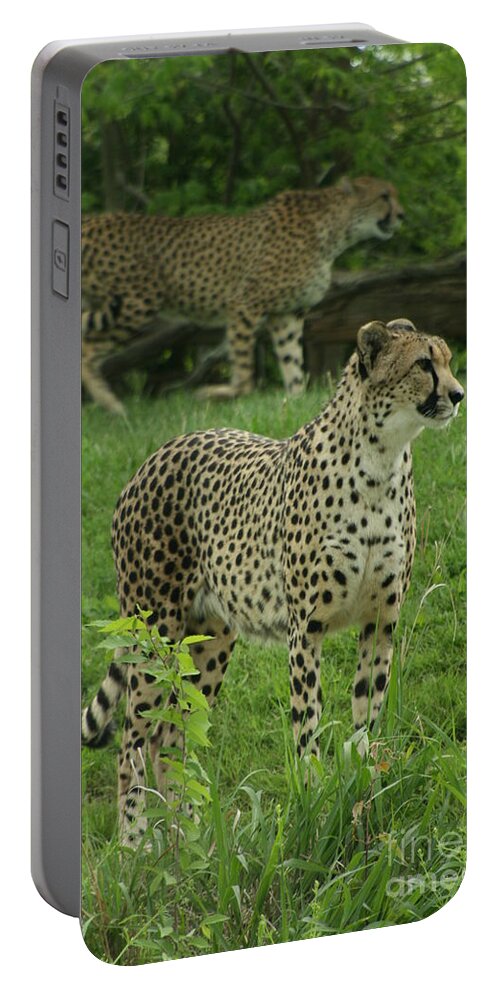 Cheetah Portable Battery Charger featuring the photograph I See Dinner by Crystal Nederman