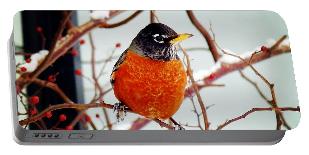 American Robin Portable Battery Charger featuring the photograph I See Spring by Zinvolle Art