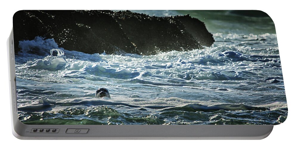 Seal Portable Battery Charger featuring the photograph I Spy a Seal by Belinda Greb
