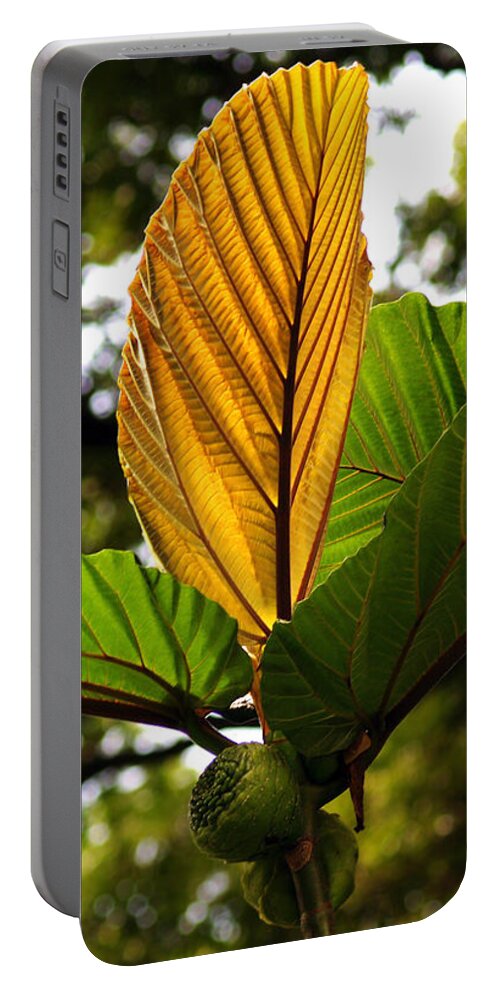 Fine Art Photography Portable Battery Charger featuring the photograph I Stand Alone by Patricia Griffin Brett