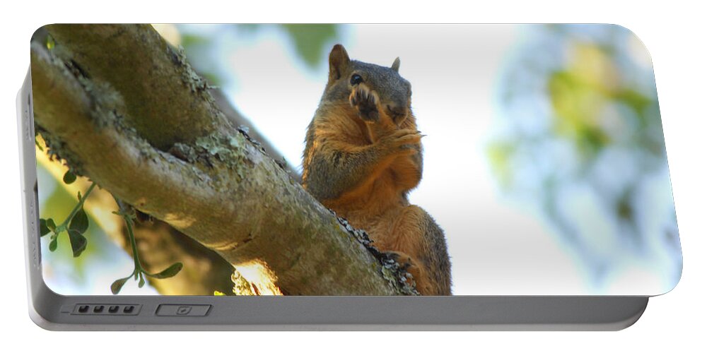 Squirrel Portable Battery Charger featuring the photograph I Was Kung Fu Fighting by Donna Blackhall
