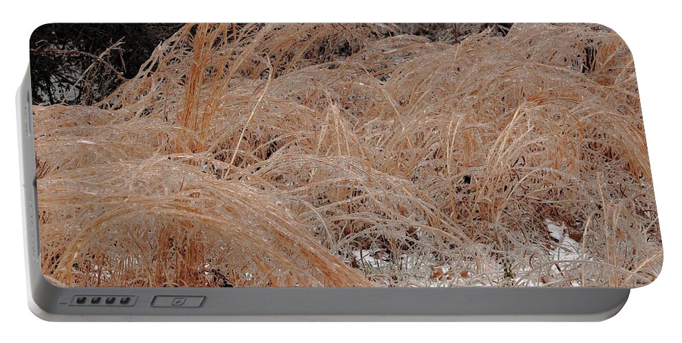 Ice Portable Battery Charger featuring the photograph Ice And Dry Grass by Daniel Reed