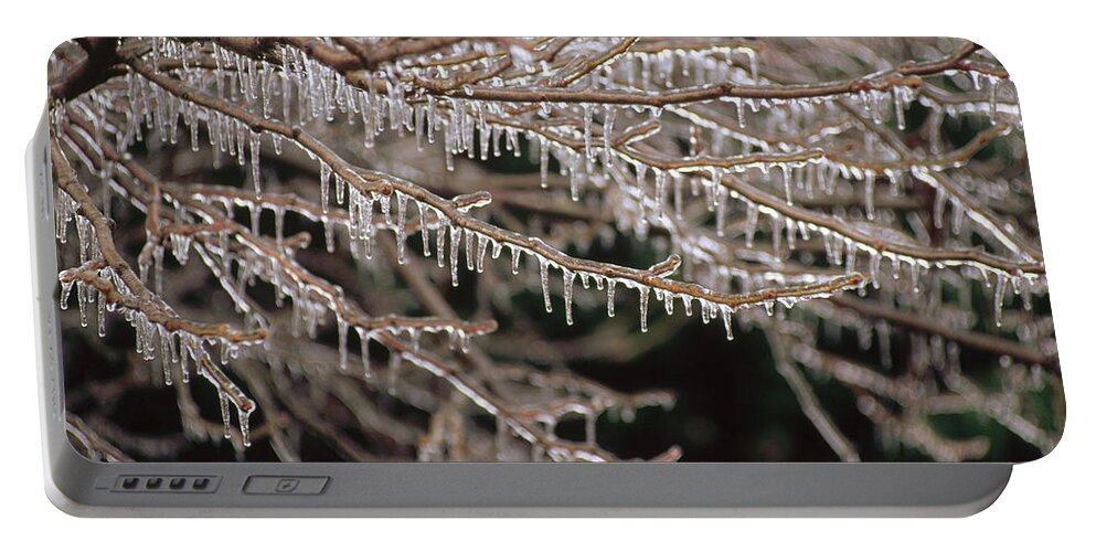 00201783 Portable Battery Charger featuring the photograph Ice And Icicles Covering Tree Branches by Gerry Ellis