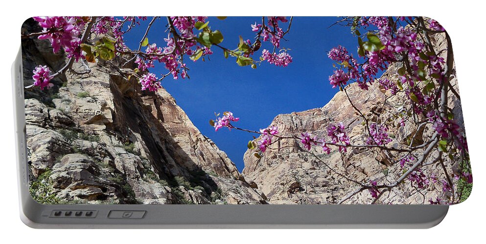 Icebox Portable Battery Charger featuring the photograph Ice Box Canyon in April by Alan Socolik