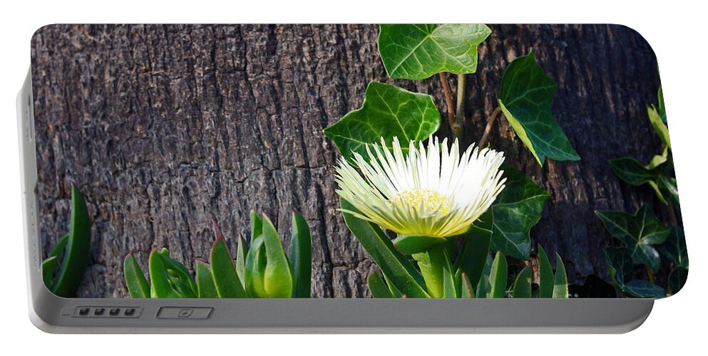 White Flowers Portable Battery Charger featuring the photograph Ice Flower with Vine by Kelly Holm