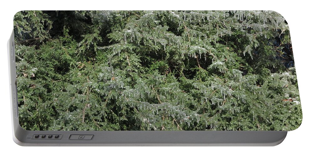Ice Portable Battery Charger featuring the photograph Ice On Eastern Red Cedar by Daniel Reed