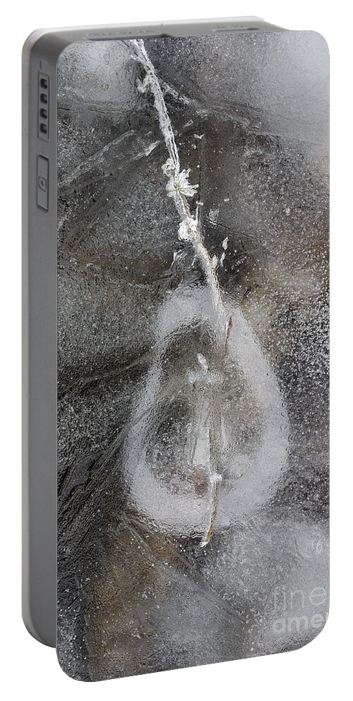 Madison Portable Battery Charger featuring the photograph Ice Patterns by Steven Ralser