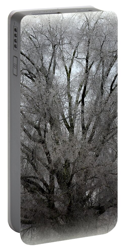 Ice Portable Battery Charger featuring the photograph Ice Sculpture by Lisa Wooten