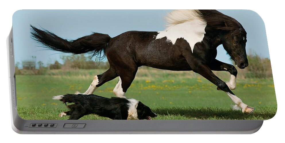 Icelandic Horse Portable Battery Charger featuring the photograph Icelandic Horse And Dog by Gabriele Boiselle