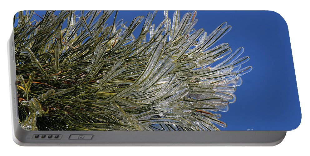 Ice Portable Battery Charger featuring the photograph Icy Branch-7544 by Gary Gingrich Galleries