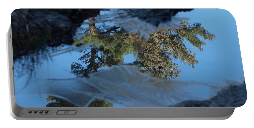 Jim Portable Battery Charger featuring the photograph Icy Evergreen Reflection by James Peterson