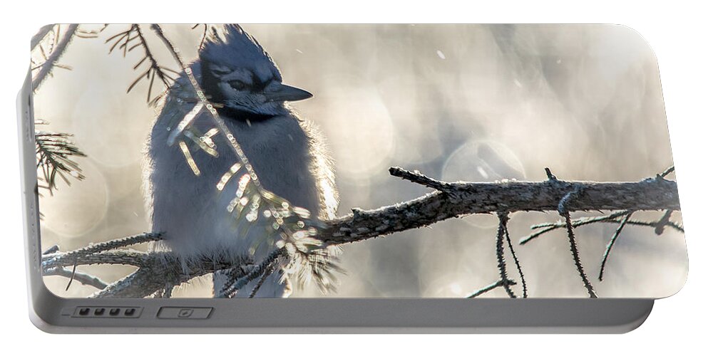 Bokeh Portable Battery Charger featuring the photograph Icy Jay by Cheryl Baxter