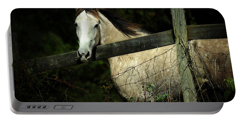 Horse Portable Battery Charger featuring the photograph If Wishes Were Horses by Rebecca Sherman