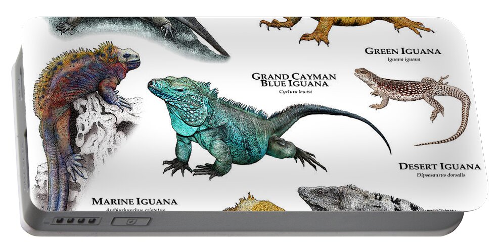 Art Portable Battery Charger featuring the photograph Iguanas Of The World by Roger Hall