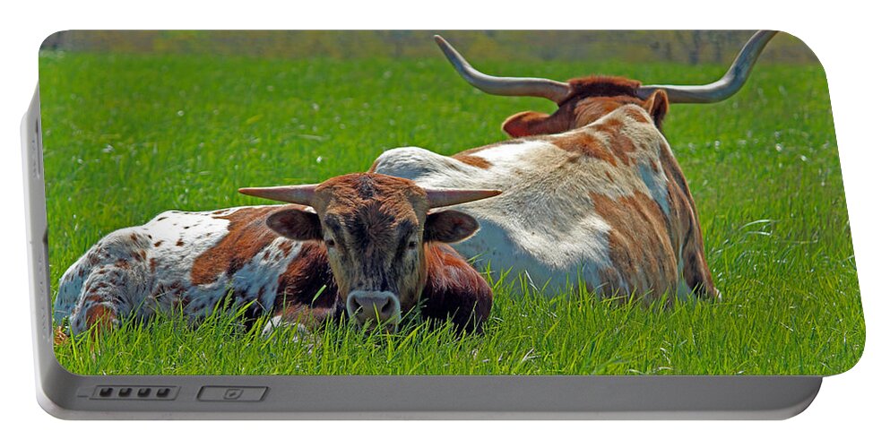 Longhorn Portable Battery Charger featuring the photograph I'm Just a Baby by Lynn Sprowl