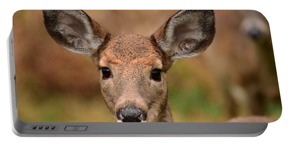 Deer Portable Battery Charger featuring the photograph I'm Never Alone by Lori Tambakis
