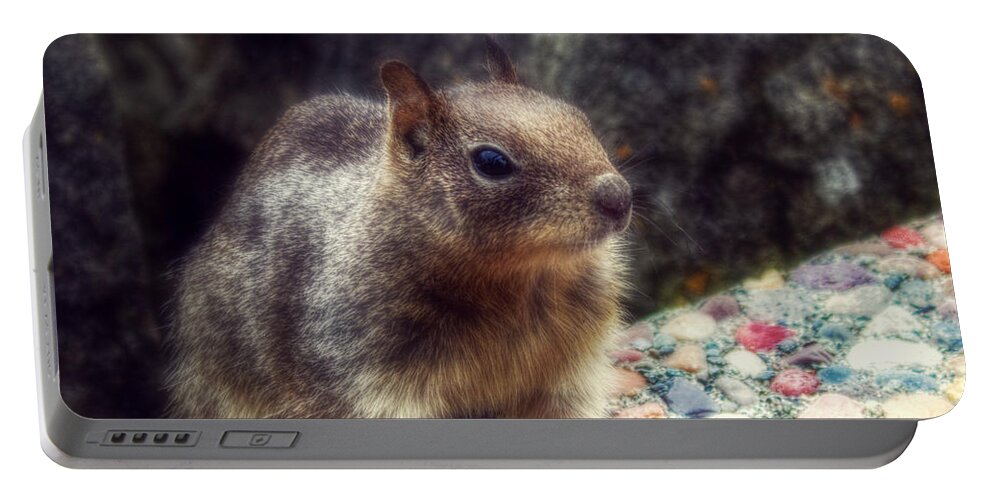 Squirrel Portable Battery Charger featuring the photograph I'm Watching You by Melanie Lankford Photography