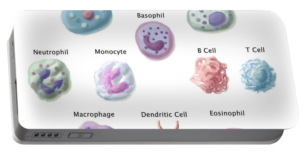 Immune Cells Portable Battery Charger featuring the photograph Immune Cells, Illustration by Spencer Sutton