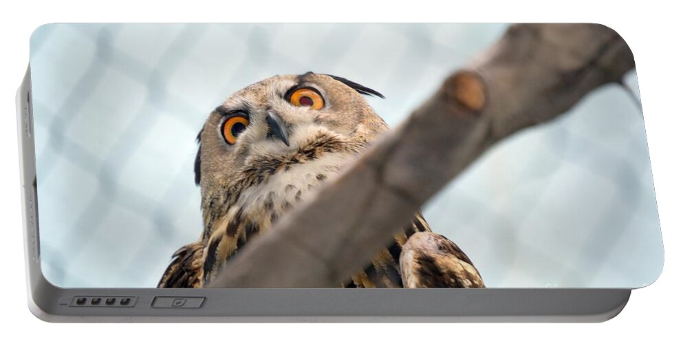 Owl Portable Battery Charger featuring the photograph Imperious Owl by Lynellen Nielsen