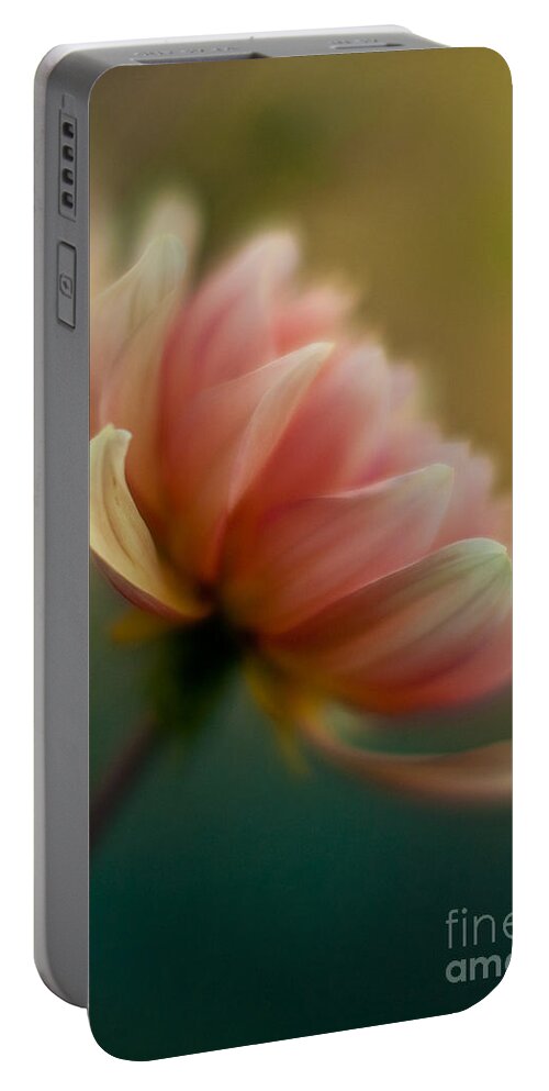 Dahlia Portable Battery Charger featuring the photograph Impressionist Dahlia by Mike Reid