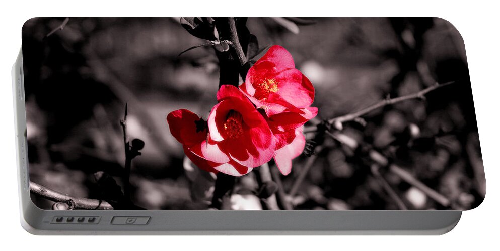 Red Portable Battery Charger featuring the photograph In black and white? by AM FineArtPrints