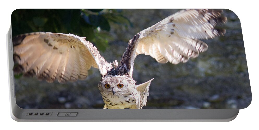 Owl Portable Battery Charger featuring the photograph In Flight by Sheila Wedegis