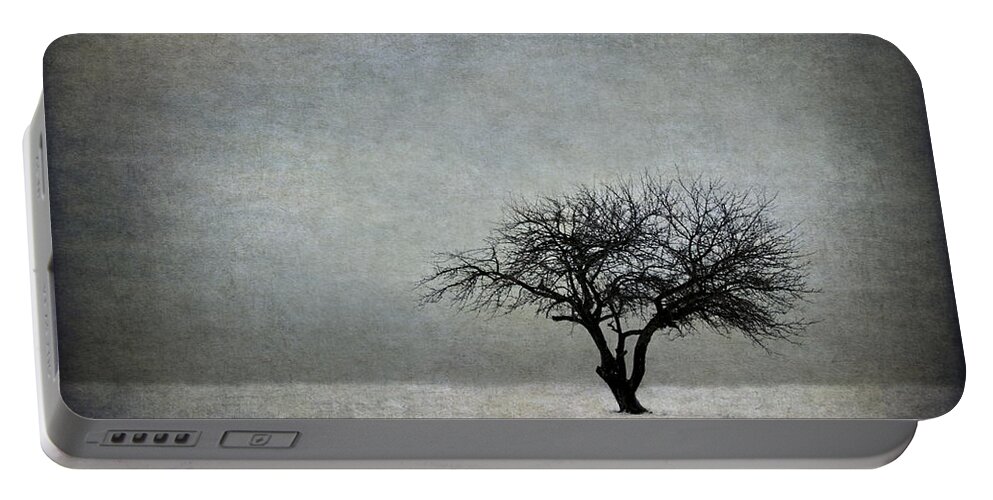 Tree Portable Battery Charger featuring the photograph In The Bleak Of Midwinter by Evelina Kremsdorf