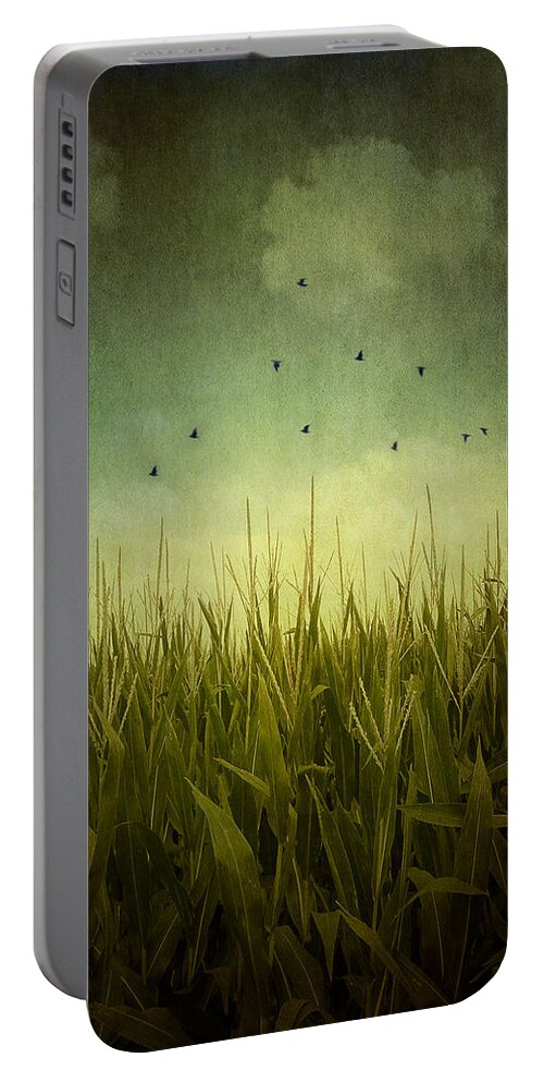 Textures Portable Battery Charger featuring the photograph In the Field by Trish Mistric