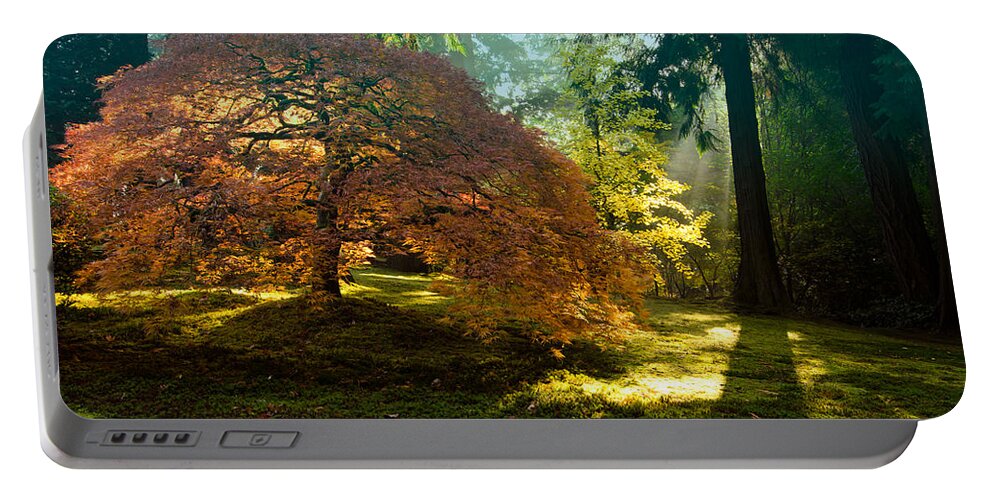 Japanese Maple Portable Battery Charger featuring the photograph In the Gentle Autumn Light by Don Schwartz