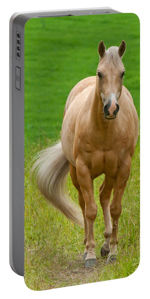 Pale Brown Horse Portable Battery Charger featuring the photograph In the Meadow by Torbjorn Swenelius