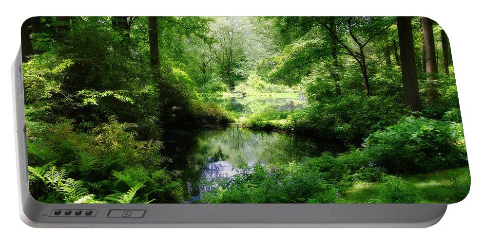 Forest Portable Battery Charger featuring the photograph In the Stillness by Trina Ansel