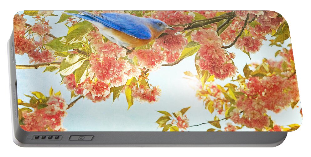 Blue Bird Portable Battery Charger featuring the photograph Indigo Bluebird on Pink Flowering Tree Branch by Brooke T Ryan