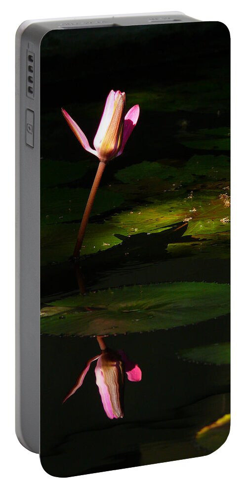 Lotus Portable Battery Charger featuring the photograph Inner Peace by Evelyn Tambour