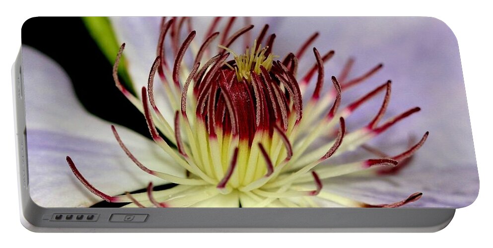 Flower Portable Battery Charger featuring the photograph Inside a Clematis by Karen Silvestri