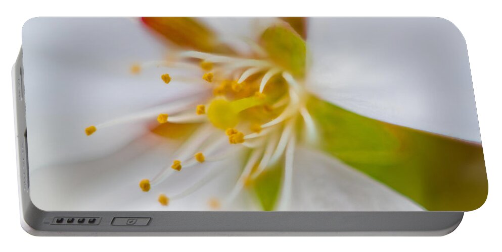 Flower Portable Battery Charger featuring the photograph Inside the Flower by Jonny D