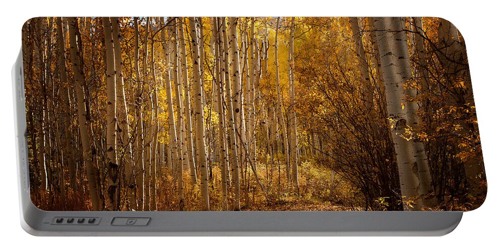 Landscape Portable Battery Charger featuring the photograph Into the Color by Steven Reed