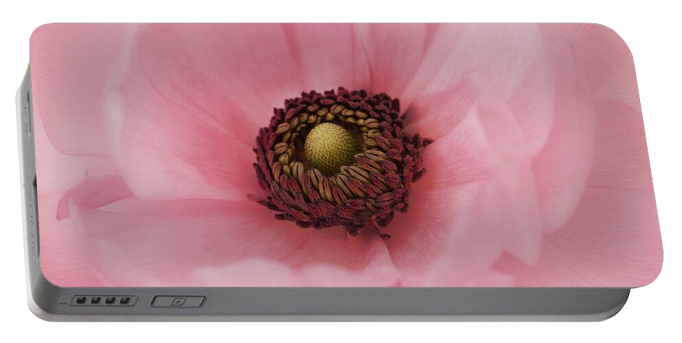 Pink Flower Portable Battery Charger featuring the photograph Into The Heart by Kim Hojnacki