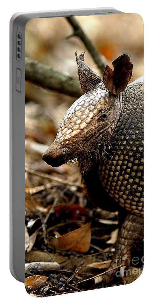 Iphone Portable Battery Charger featuring the photograph Nine Banded Armadillo by Robert Frederick