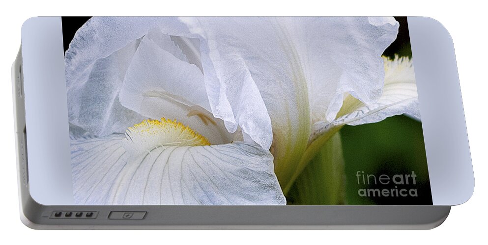 Ron Roberts Portable Battery Charger featuring the photograph Iris Abstract by Ron Roberts