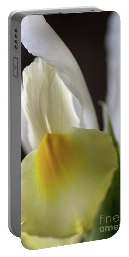 Iridaceae Portable Battery Charger featuring the photograph Iris Flower by Joy Watson