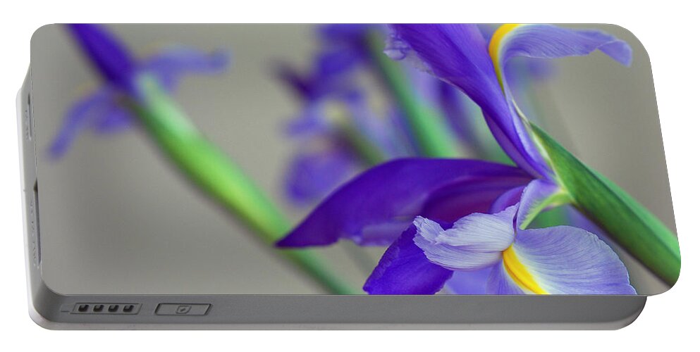 Iridaceae Portable Battery Charger featuring the photograph Iris by Lisa Phillips