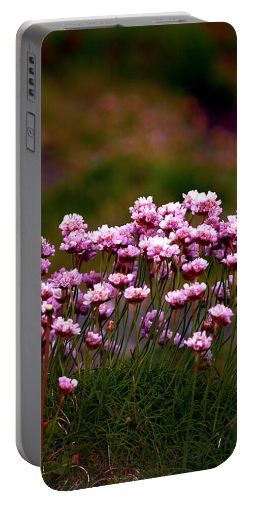 Fine Art Photography Portable Battery Charger featuring the photograph Irish Sea Pinks by Patricia Griffin Brett