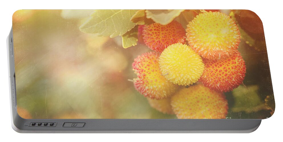 Arbutus Portable Battery Charger featuring the photograph Irish Strawberries by Linda Lees