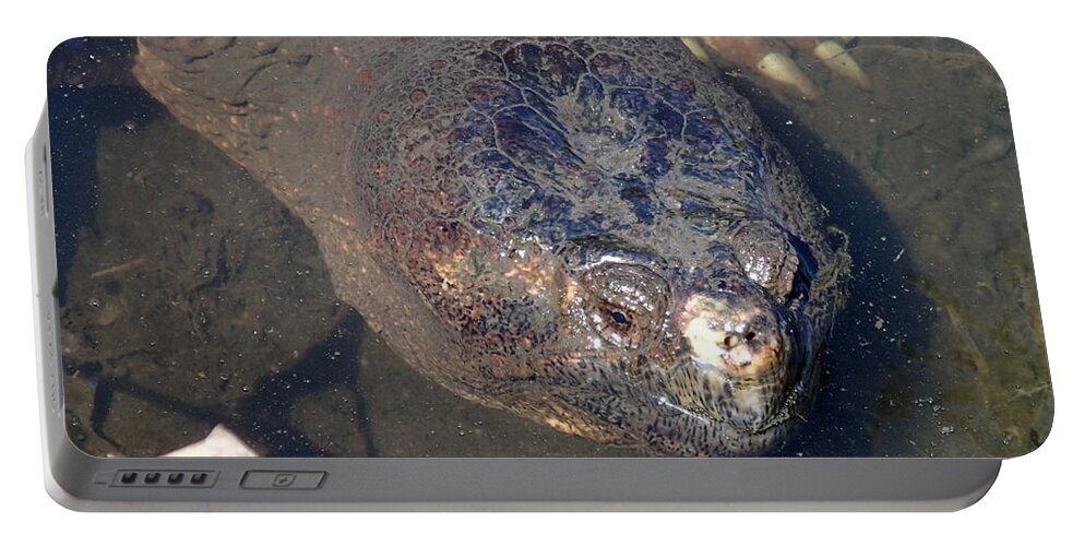 Island Portable Battery Charger featuring the photograph Island Turtle by Robert Nickologianis