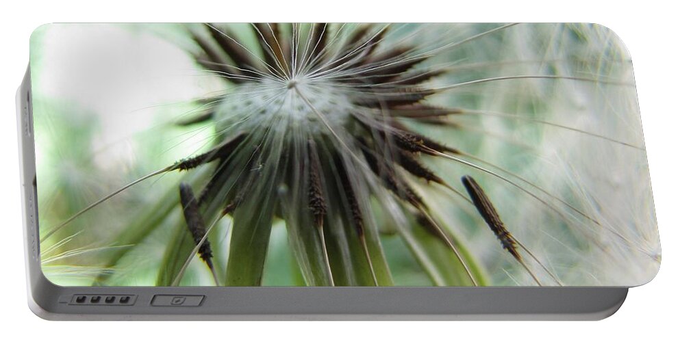 Dandelion Portable Battery Charger featuring the photograph Isn't It Dandy by Jennifer Wheatley Wolf