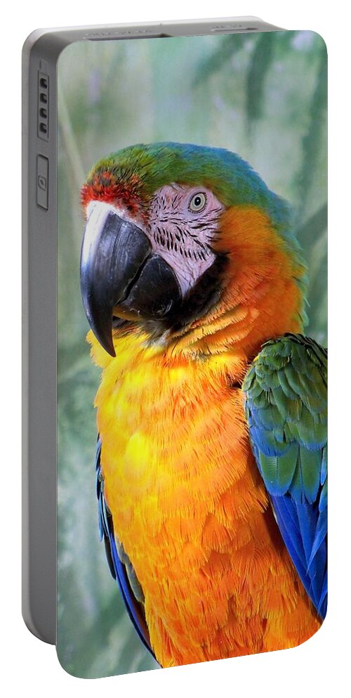Exotic Birds Portable Battery Charger featuring the photograph It's A Jolly Good Day by Lingfai Leung